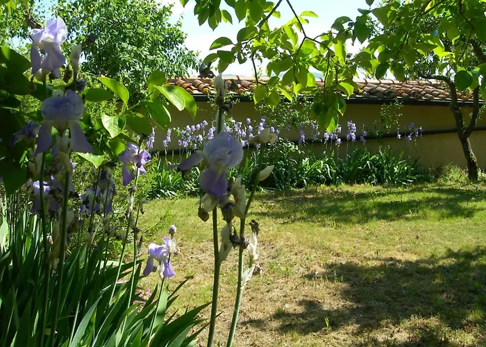 Cozy 2-bedroom Ferienhaus Montecastelli Pisano